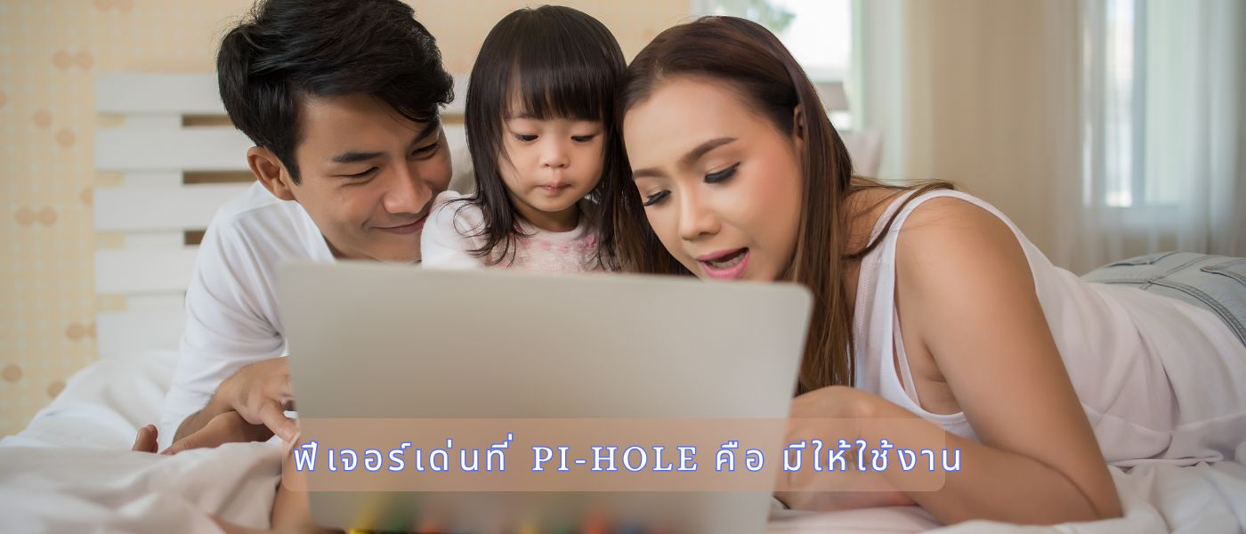 ฟีเจอร์เด่นที่ Pi-hole คือ มีให้ใช้งาน 